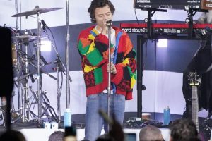 HOW HARRY STYLES AND A JW ANDERSON'S CARDIGAN INSPIRED THIS VIRAL ...